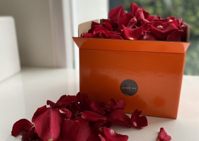 Fresh loose rose petals