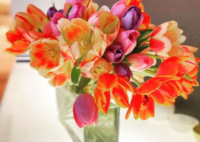 Tulips 'en masse' from Petal and Rose