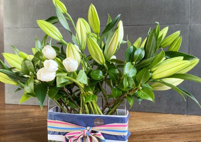 Classic whites by Petal and Rose