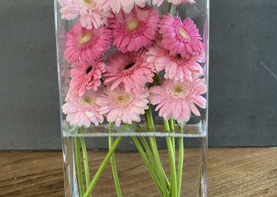 Gerberas in tall vase
