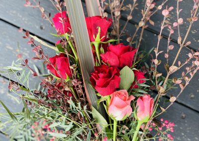 roses are red and pink by Petal and Rose