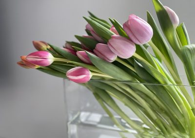 Tulips in pinks by Petal and Rose
