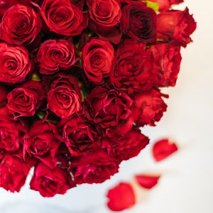 Red roses for Valentine's Day